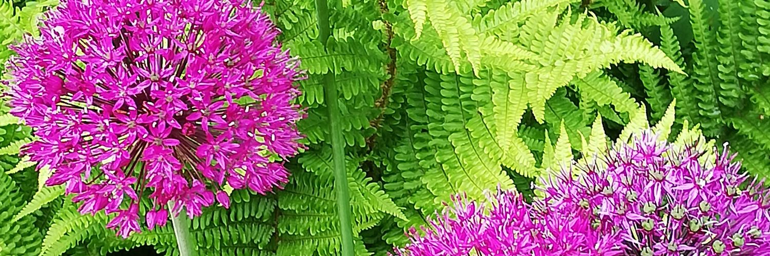 Sherilyn MacGregor banner