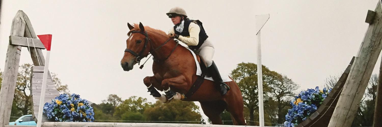 Elaine Curran banner