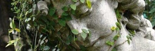 Vico_NS's profile banner image