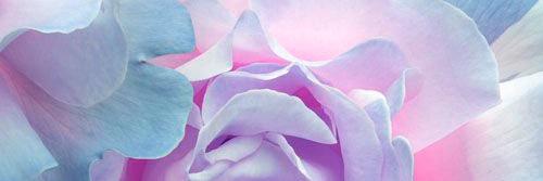 briiiimcelroy's profile banner image