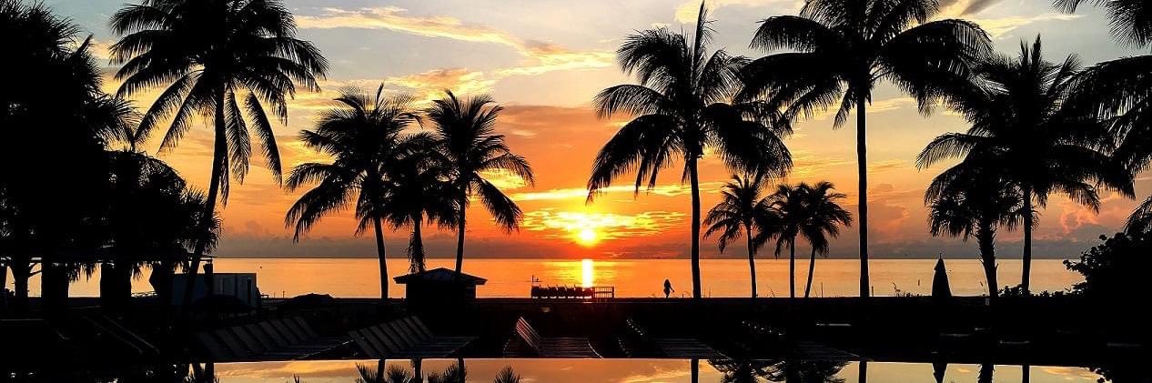 B Ocean Resort banner