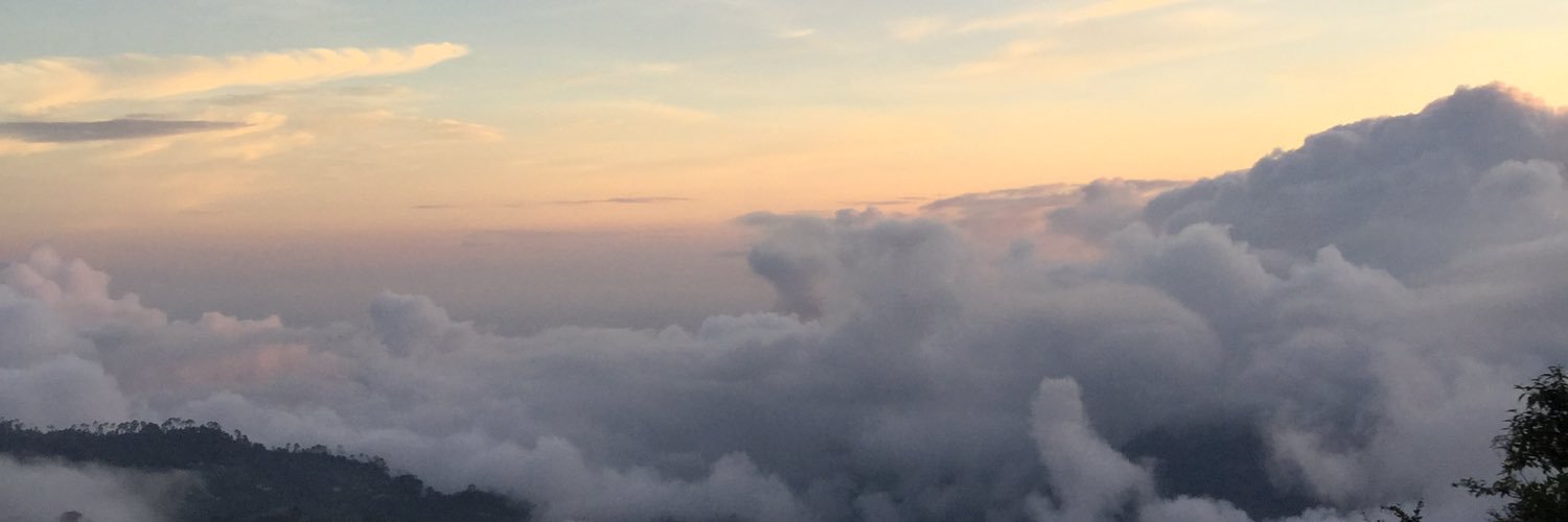 Aanchalnarang2's profile banner image