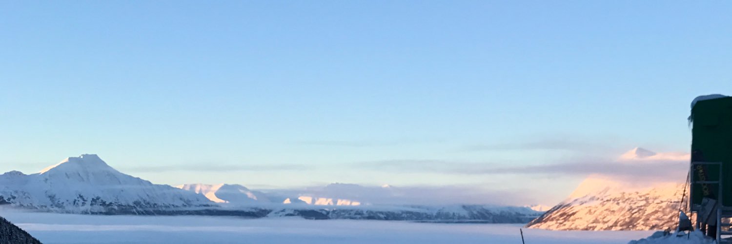 BlendsWithSnow's profile banner image
