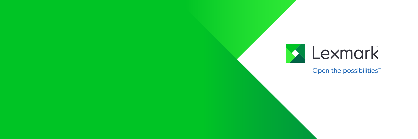 Lexmark Italia banner