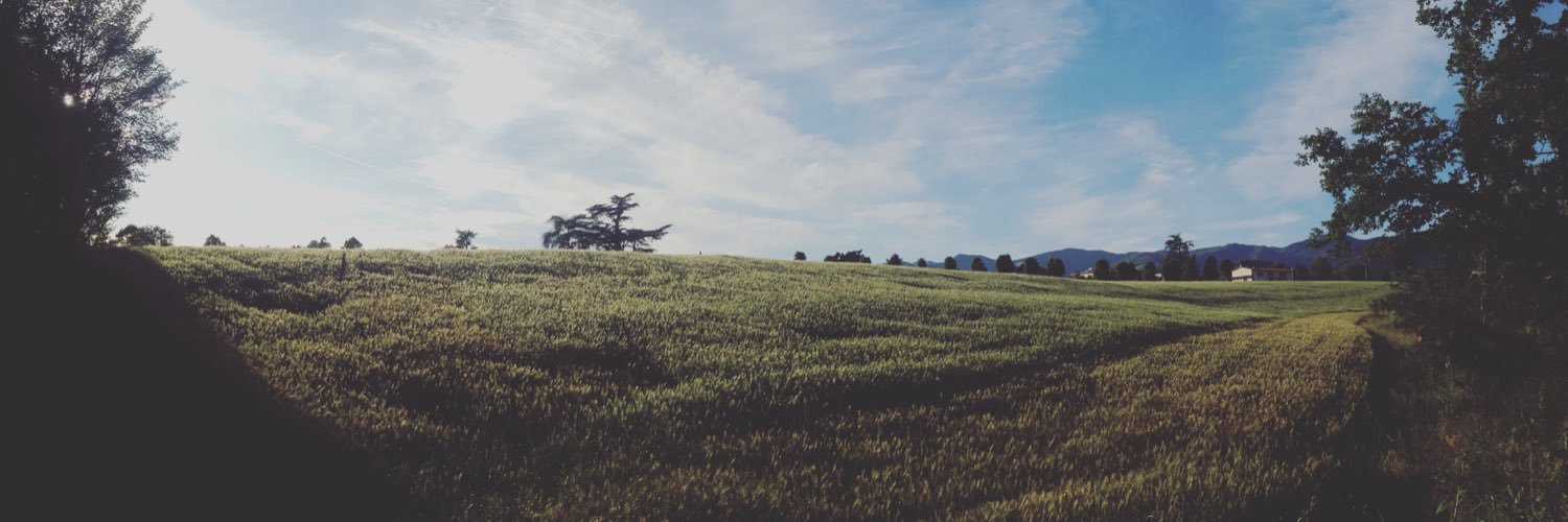BeaBeutz's profile banner image