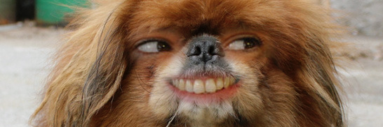 HelloPardy's profile banner image