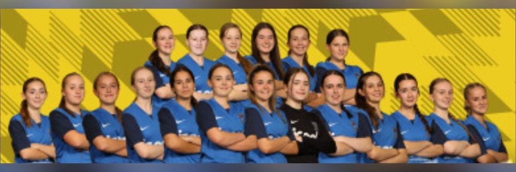 Michael Taylor banner