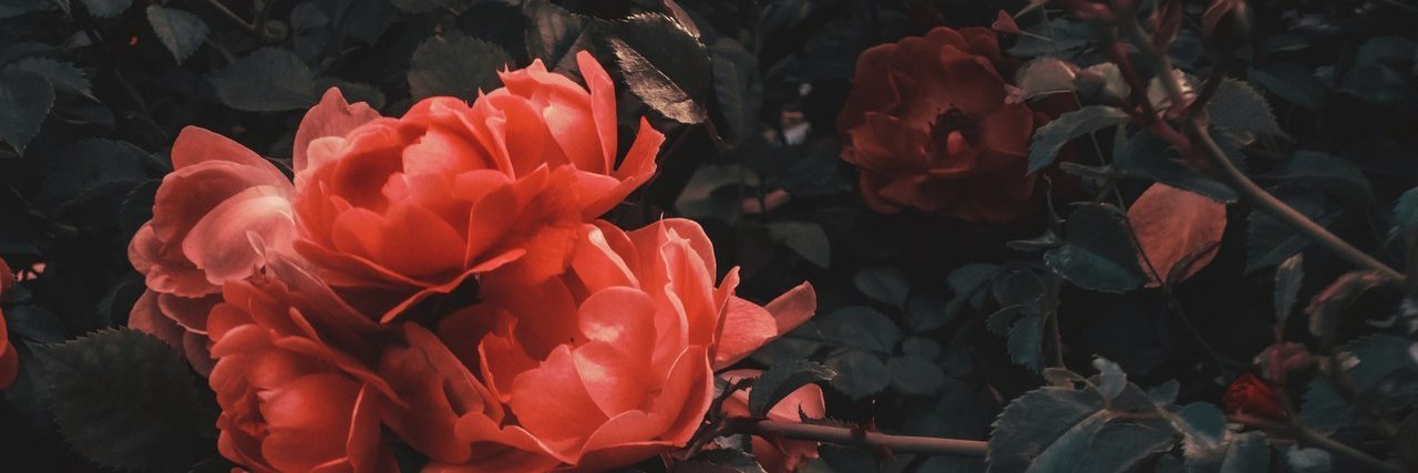 MarcMcKay's profile banner image