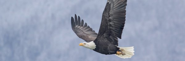 AIAI_Comms Profile Banner
