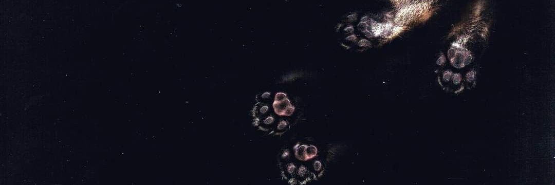 XalsTG's profile banner image