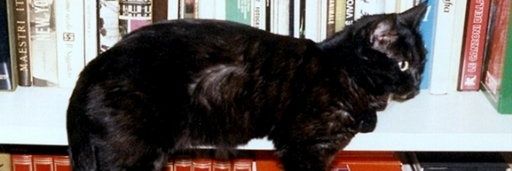 Debora_Milano_'s profile banner image