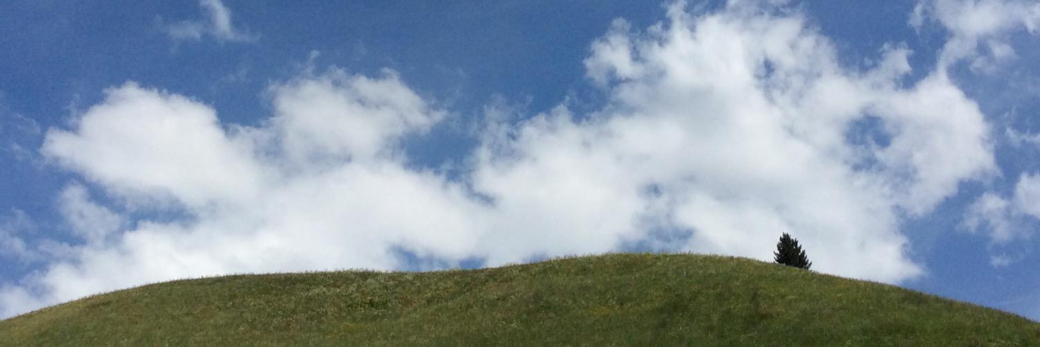 EDOBERTONA's profile banner image
