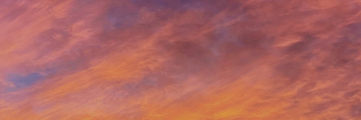 shady98_'s profile banner image