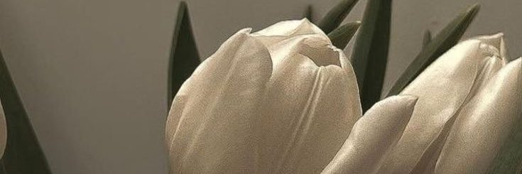 Nadilazkrn's profile banner image
