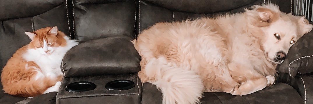 madipaige4's profile banner image