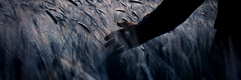 GeneralsMaximus's profile banner image