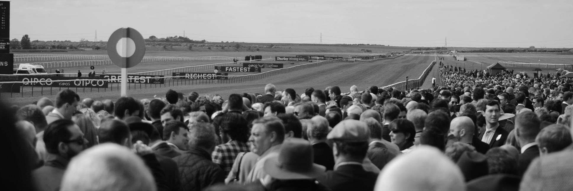 CompasStallions banner