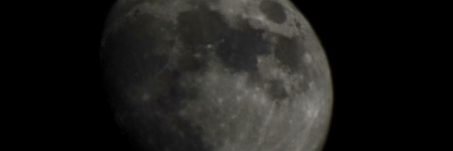 JackWarrenBirds's profile banner image