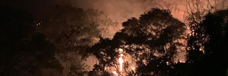 José Alberto Becerril Bedolla banner