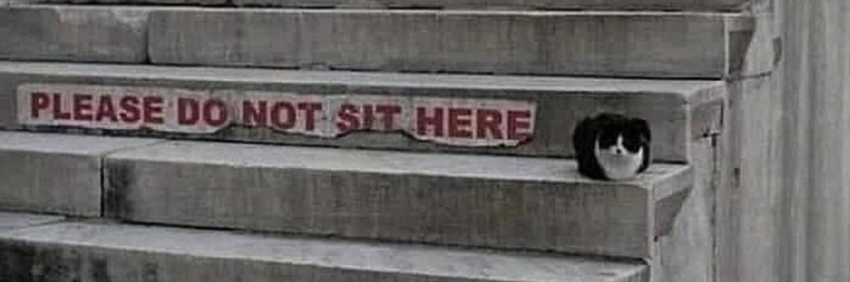 🇺🇸 VICTORIA RIZO 🇺🇸 banner