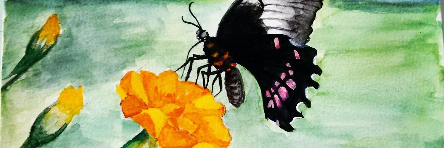 Monicadand's profile banner image