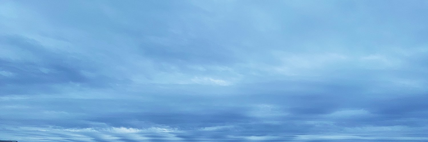 lanie_devine's profile banner image