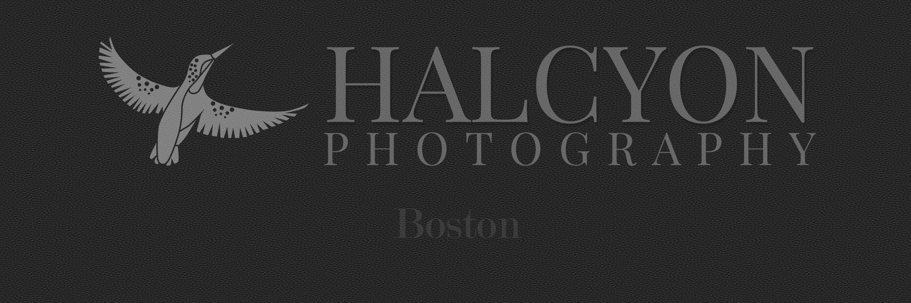 halcyonboston's profile banner image
