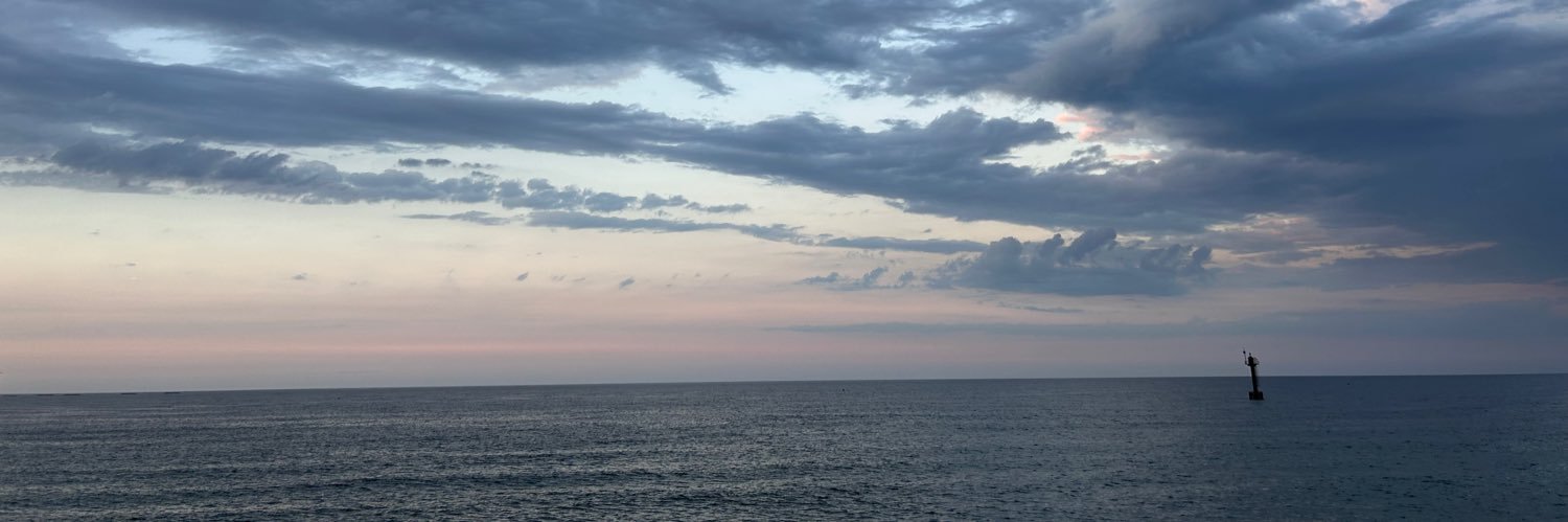 パパレスラー banner