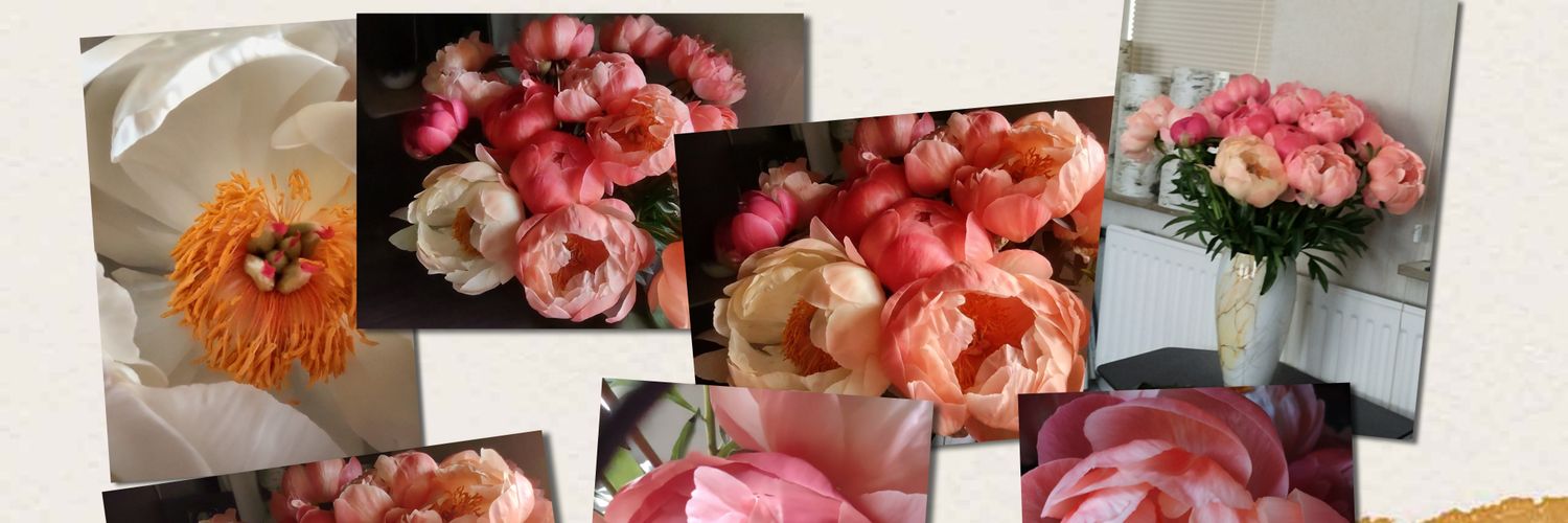 CrystalMarga's profile banner image