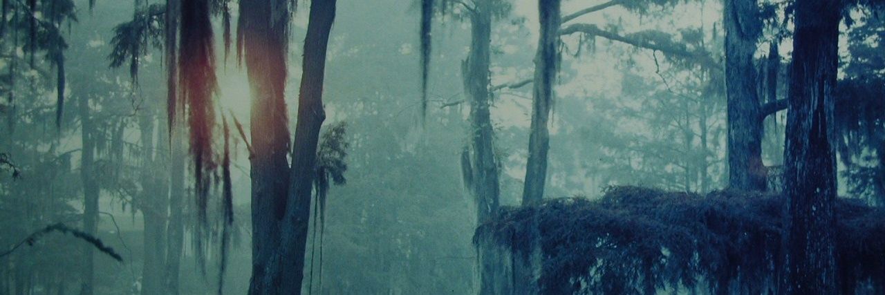 belle_bayou's profile banner image