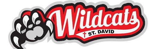 StDavidWildcats banner