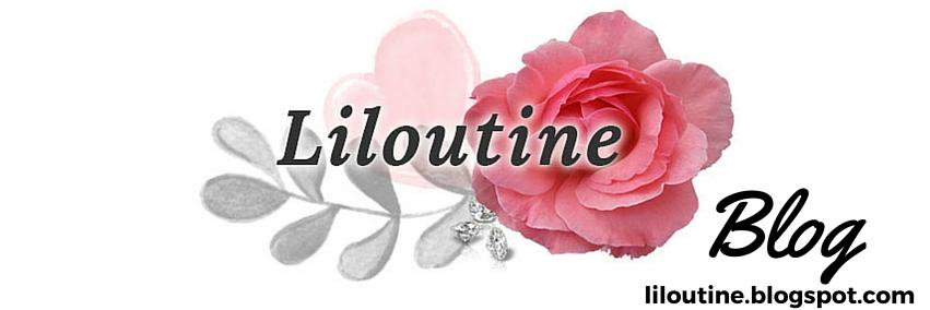 LiloutineBlog's profile banner image