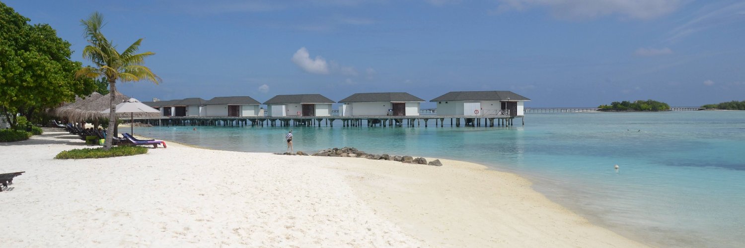 Mark Stockham banner