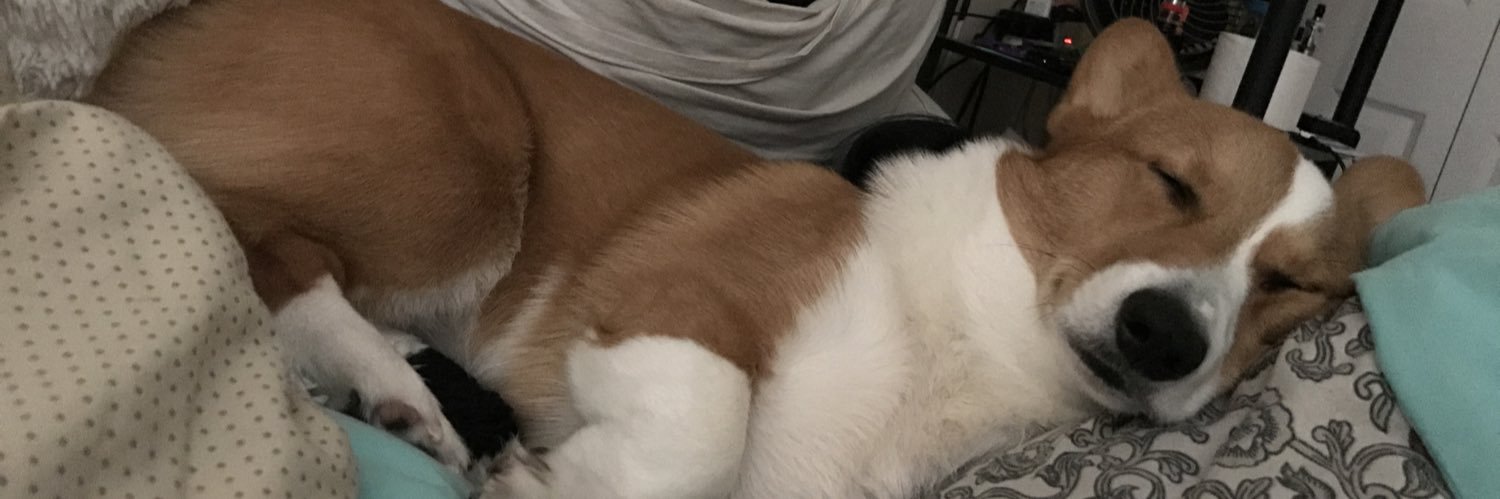 ddannyboo's profile banner image