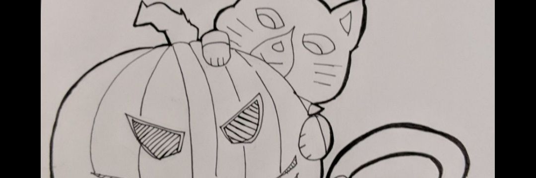 Nanerpus! 🐈 🎃👻💀🍁 banner