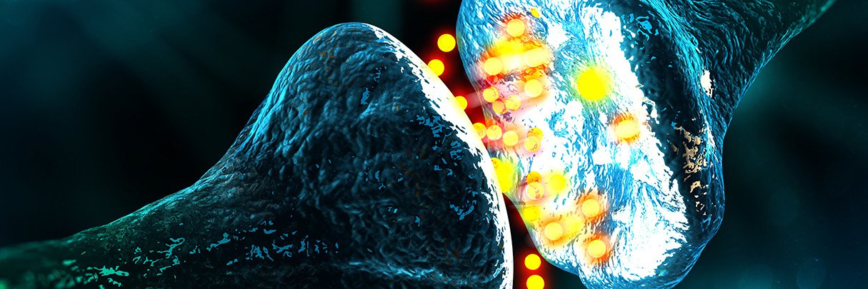 Psychology @ Toronto Met banner