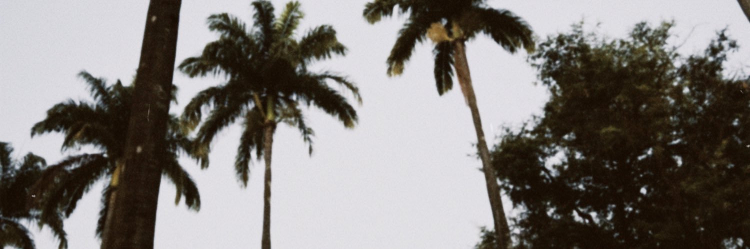 jp_procopio's profile banner image