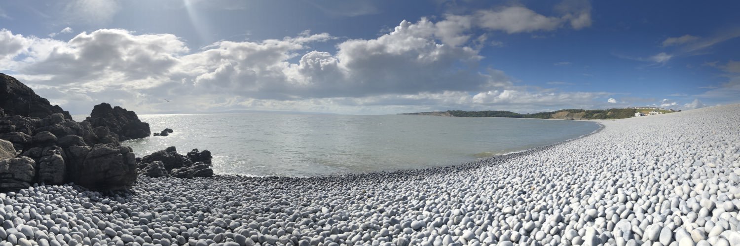 Laura Williams banner