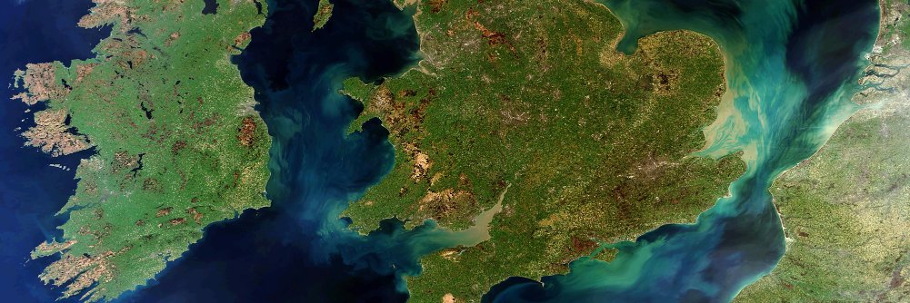 Daniel Colson banner