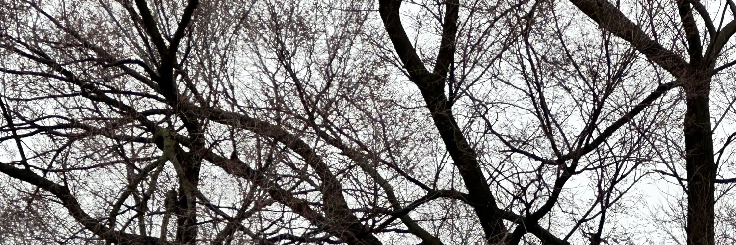 whoknows banner