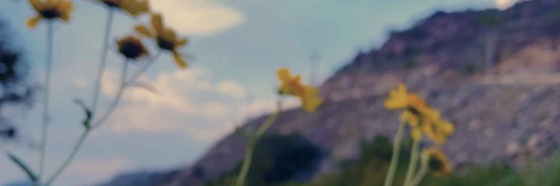 💛زمن 💙 banner