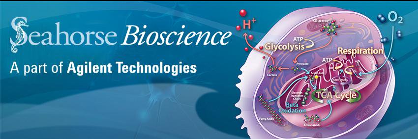 SeahorseBio's profile banner image