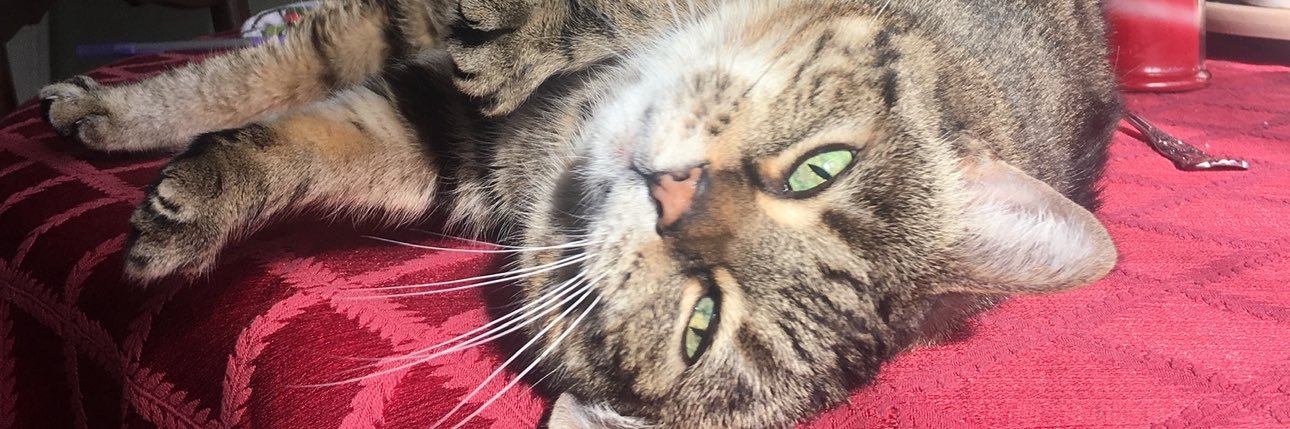 Eva Maldonado banner