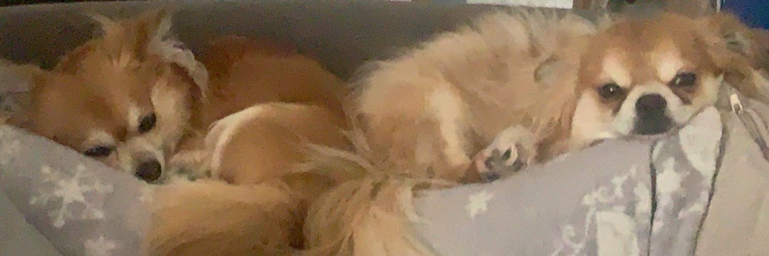 maciedz's profile banner image