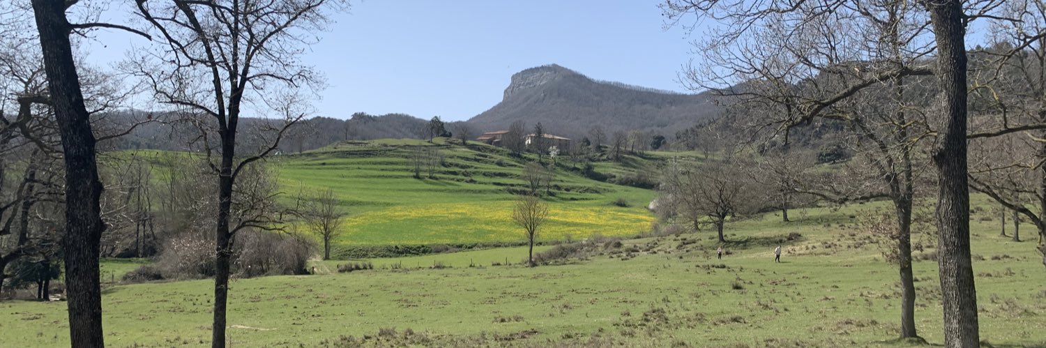 BelmonteMarta's profile banner image