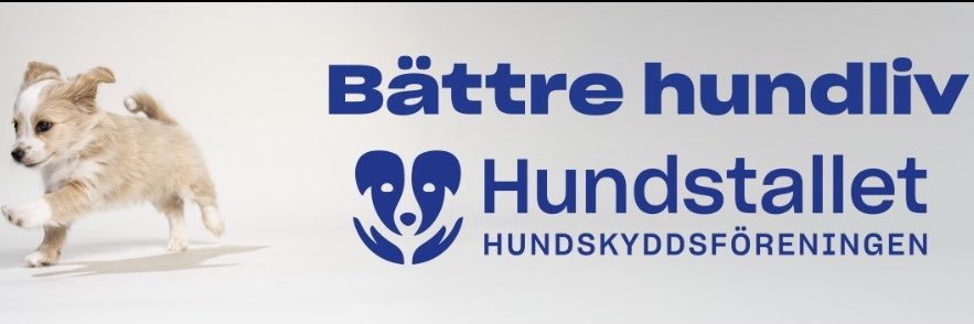 Johnny F Kroneld banner