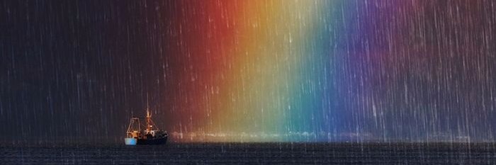 tiger002002's profile banner image