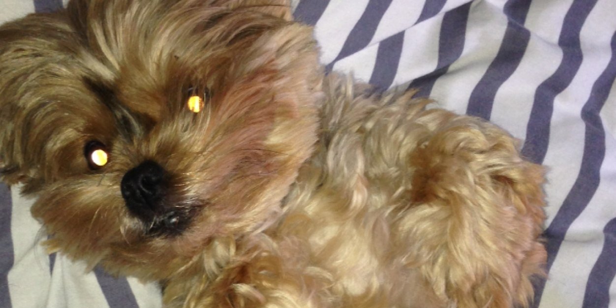 nigel funston banner