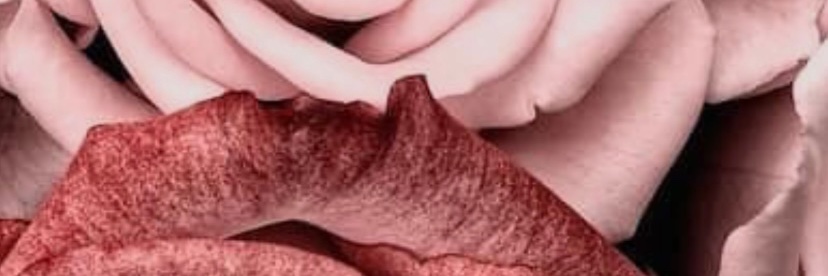 OhanjanAni's profile banner image