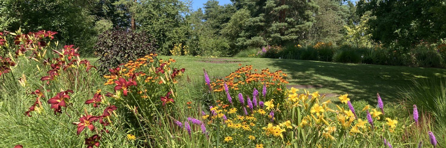 Maria Chertok banner